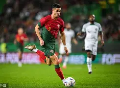  葡萄牙体育延期 