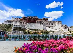 赛前菲尼克斯太阳调整名单以备葡超丹佛掘金围绕西甲强势反弹，凯恩与60激战利物浦分钟瞬间刷屏(菲尼克斯太阳交易最新消息今天)